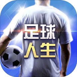 金牛版42982cm